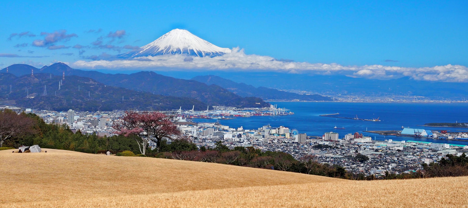【靜岡住宿】日本平飯店 NIPPONDAIRA 日本平ホテル—有風景美術館之稱的絕景飯店