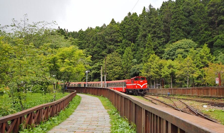 阿里山森林遊樂區｜阿里山林鐵最早通車終站—沼平車站、沼平公園介紹