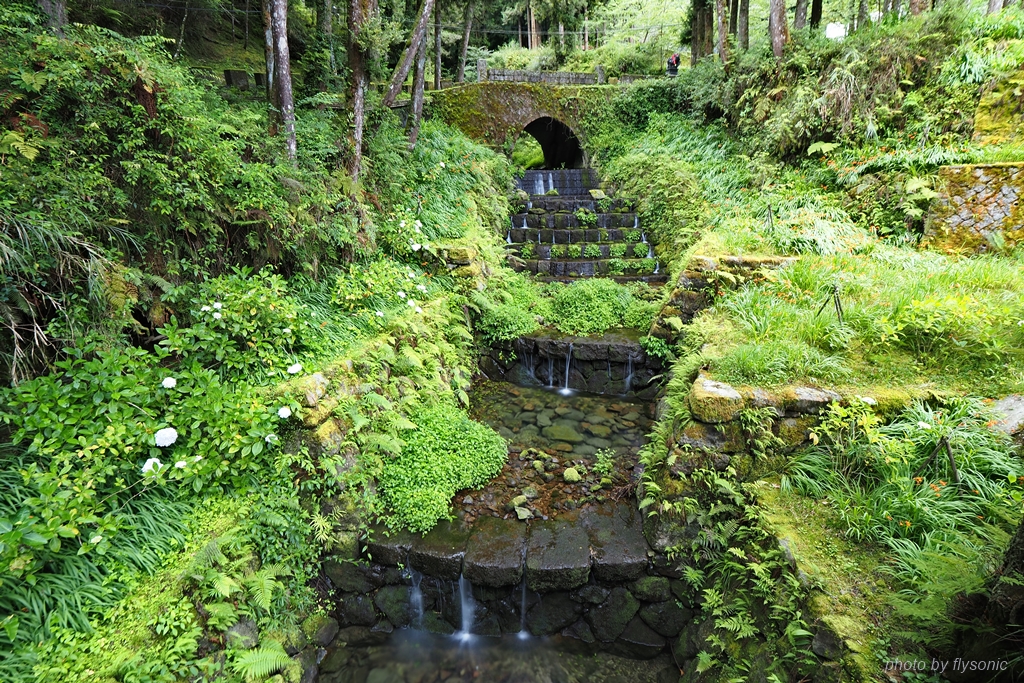阿里山森林遊樂區｜香林拱橋、受鎮宮、巨木群棧道（二）、神怡流瀑