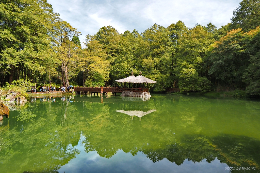 阿里山森林遊樂區｜晴天、倒影與傳說—姐妹潭、環潭棧道
