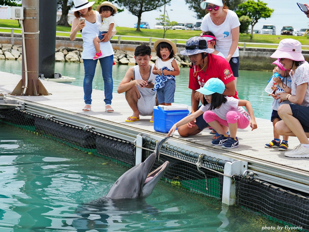 【沖繩景點】本部元氣村（もとぶ元気村 Motobu Genki Village）—與海豚的第一次接觸