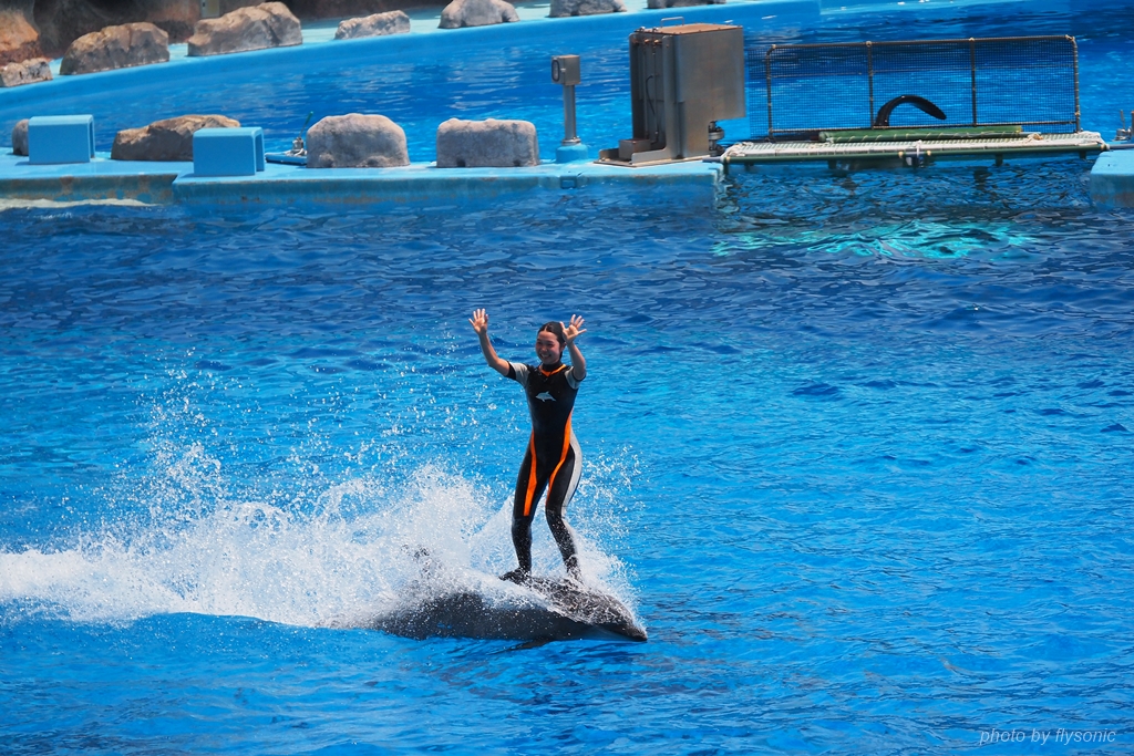 【名古屋】名古屋港水族館 Port of Nagoya Public Acquarium