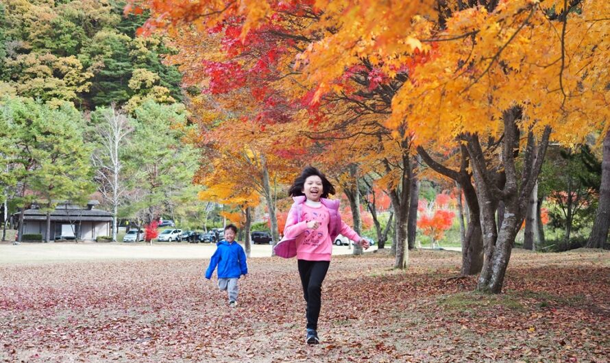 【2019 紅葉河口湖】秋天午後的河口湖美術館