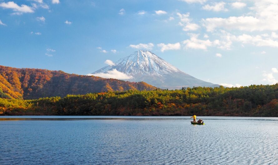 【2019 紅葉河口湖】大石公園、西湖、精進湖所見的富士山