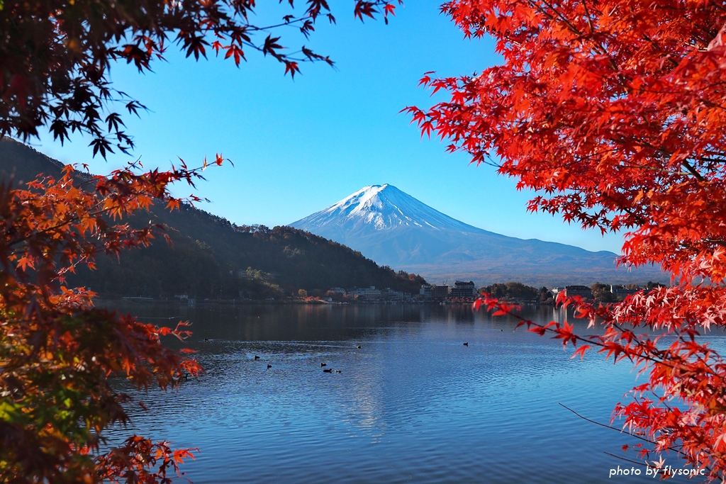 【2019 紅葉河口湖】湖楽おんやど 富士吟景 Koraku Onyado Fujiginkei