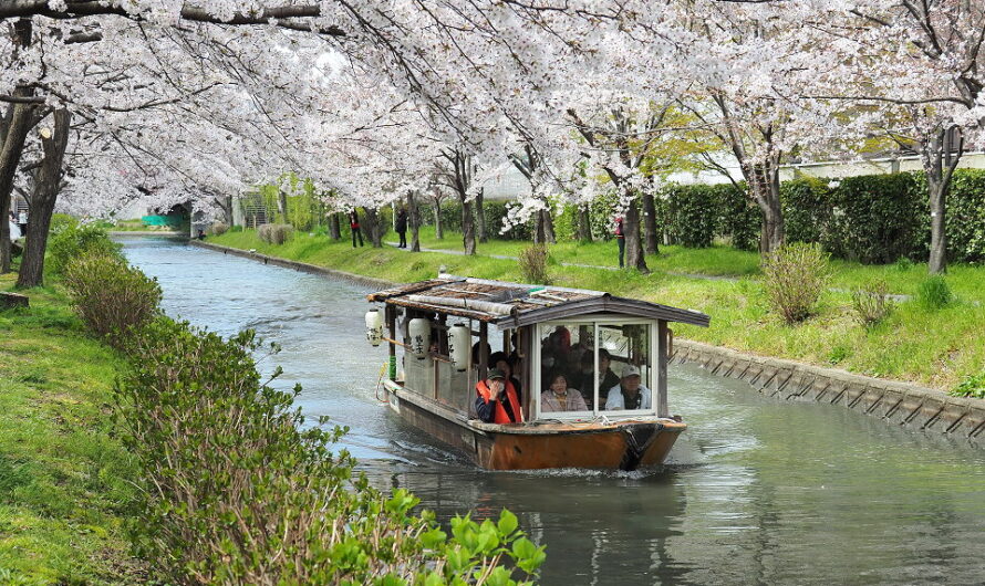 【京都】遇見春櫻燦燦—中書島十石舟（伏見十石舟）
