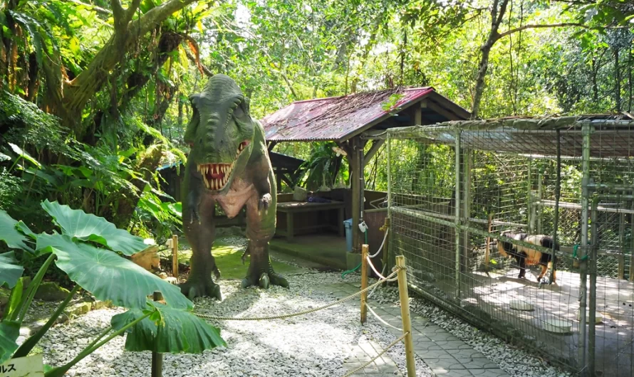 【沖繩景點】跟著小孩去探險—DINO 恐龍公園