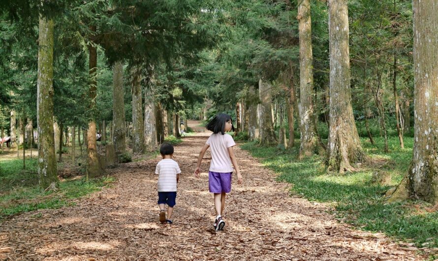 【南投惠蓀林場】帶小孩玩惠蓀林場—初探