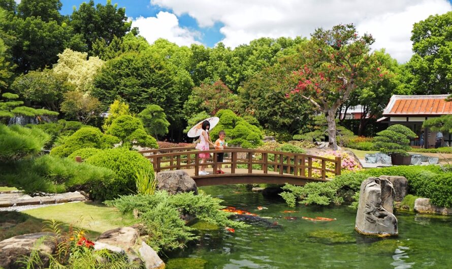 【彰化永靖】成美文化園區—落羽松大道、精緻庭園、百年古厝之美