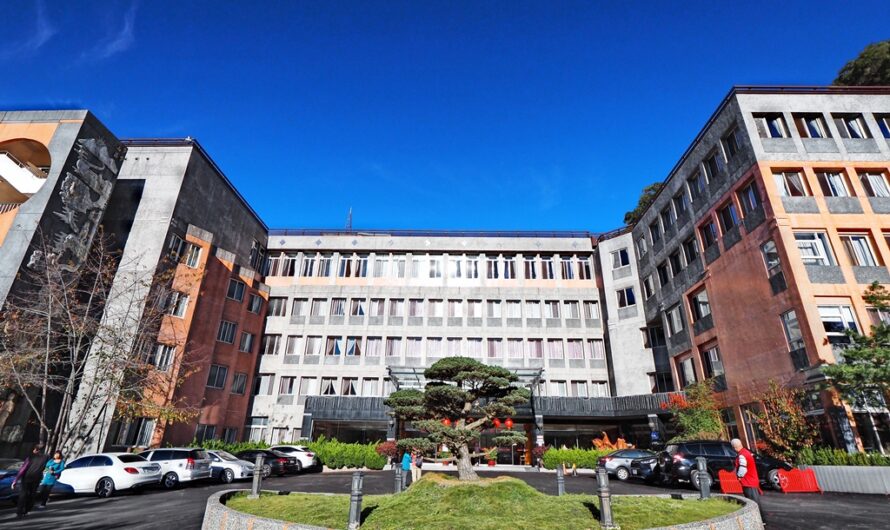 【南投杉林溪】杉林溪大飯店住宿分享—房型、餐廳、夜間活動介紹