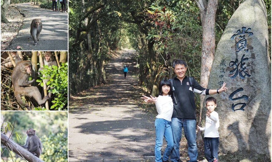 【彰化二水】松柏嶺登廟步道（豐柏步道）—從彰化二水到南投名間的台灣彌猴步道