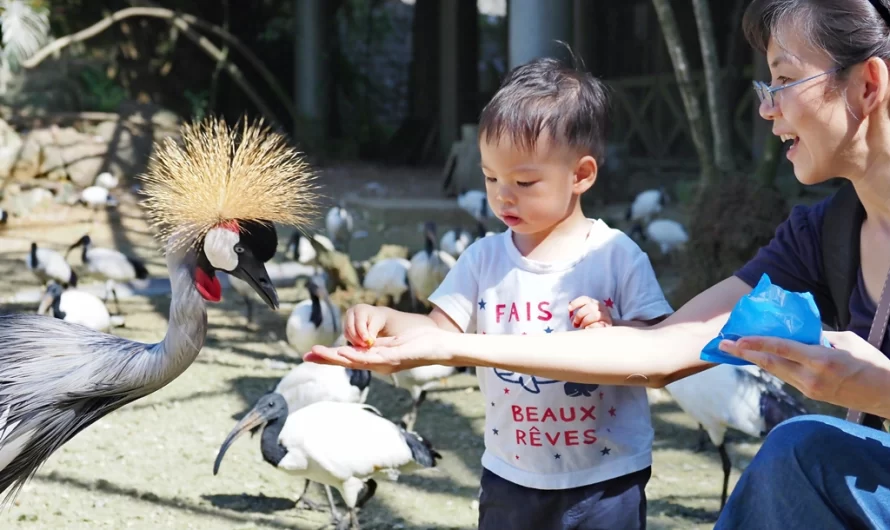 【沖繩景點】名護自然動植物公園 ネオパークオキナワ Neo Park Okinawa