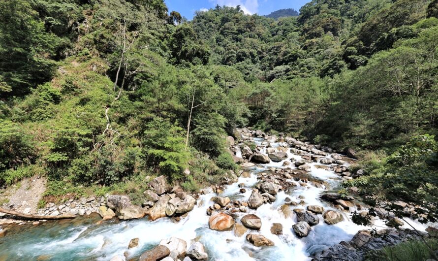 八仙山森林遊樂區夏日戲水趣—天籟步道輕鬆走、漫森餐廳午餐、親水區玩水，順買白冷肉包、白冷冰棒