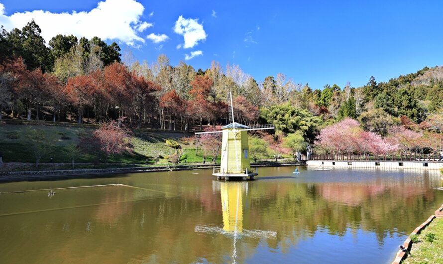 2023 清境農場賞櫻—小瑞士花園