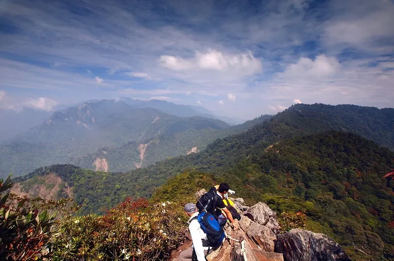 大雪山森林遊樂區｜鳶嘴山登山步道