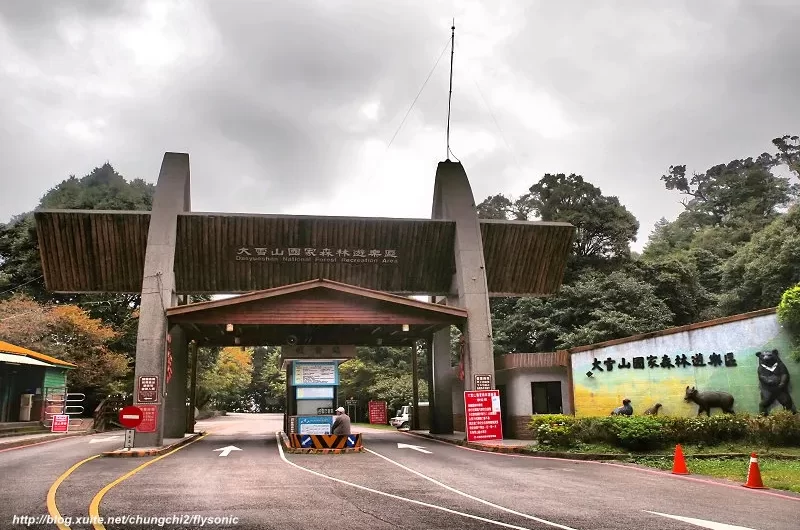 大雪山森林遊樂區｜小神木森林步道