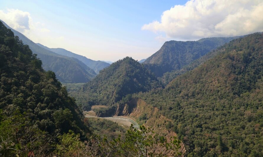 南投惠蓀林場｜帶小孩玩惠蓀林場—松風山步道