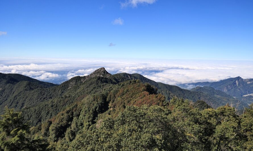 大雪山森林遊樂區｜冬季限定—2022 稍來山賞楓