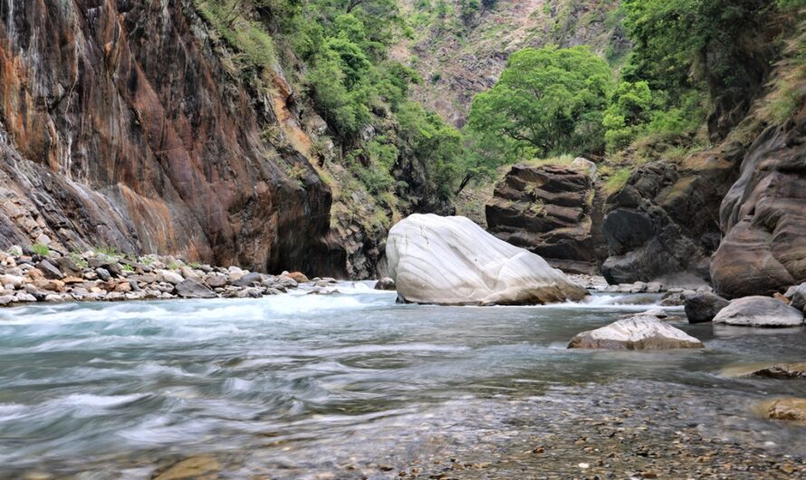 惠蓀林場｜青蛙石步道—失而復得地標青蛙石、清澈美麗北港溪上游溪谷