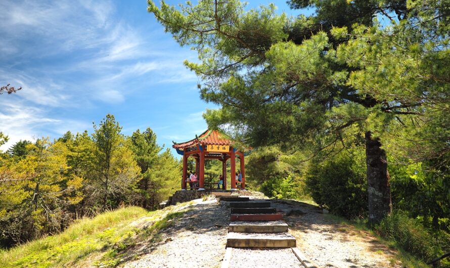 大雪山森林遊樂區｜小雪山天池步道