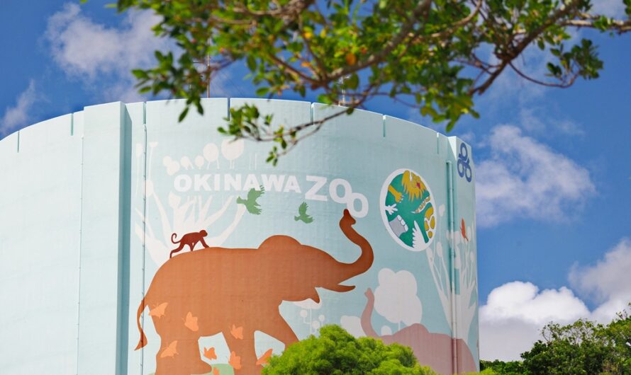 【沖繩景點】兒童王國 沖縄こどもの国 Okinawa Children’s  World Zoo & Museum