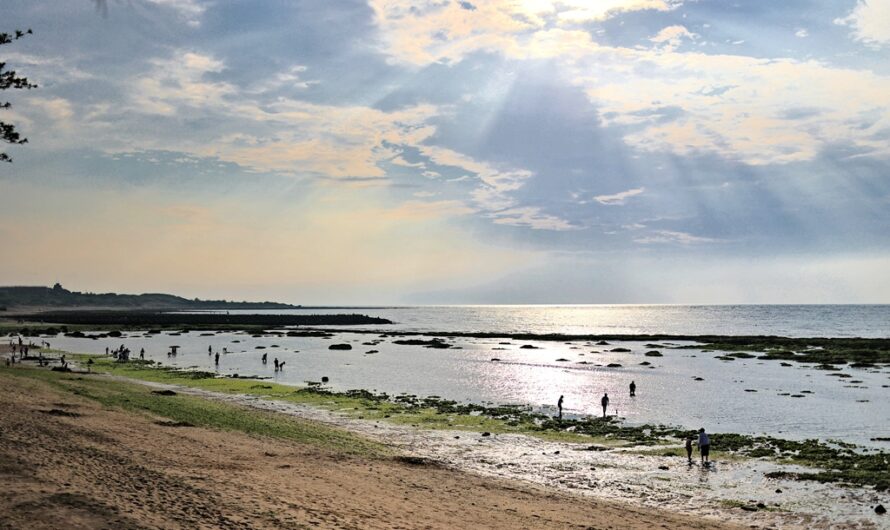 三芝淺水灣｜淺水灣海濱公園—親子玩沙、玩水、抓螃蟹，芝蘭海上觀景平台看夕陽