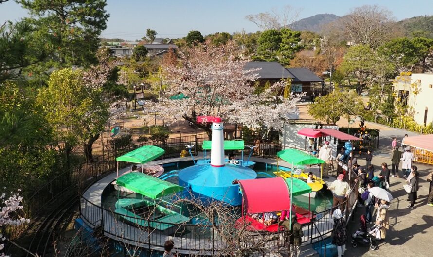 【京都】與摩天輪共賞櫻花—京都市立動物園