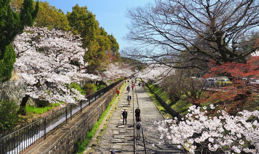 【京都】舊鐵道賞櫻趣—蹴上鐵道