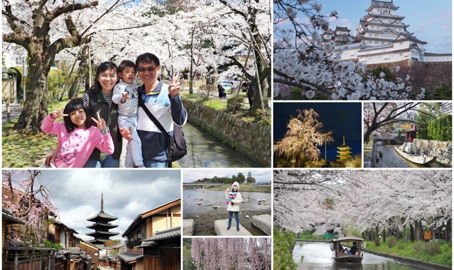 2019 京都賞櫻自由行 8 日行程