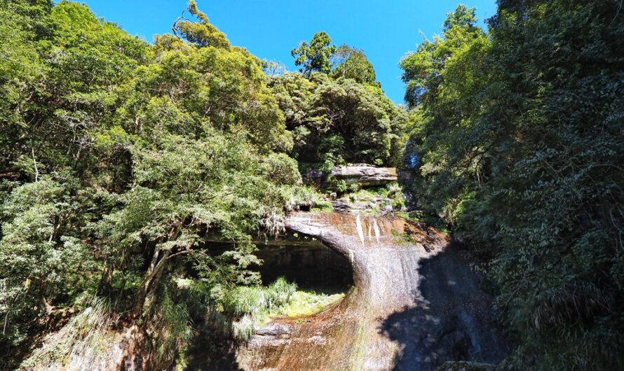 【南投杉林溪】燕庵步道、龍鱗瀑布—杉林溪最短步道，兼賞園區三大瀑布之一