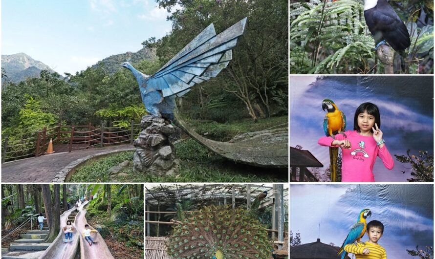 【南投鹿谷】鳳凰谷鳥園—園區介紹、跟金剛鸚鵡拍照