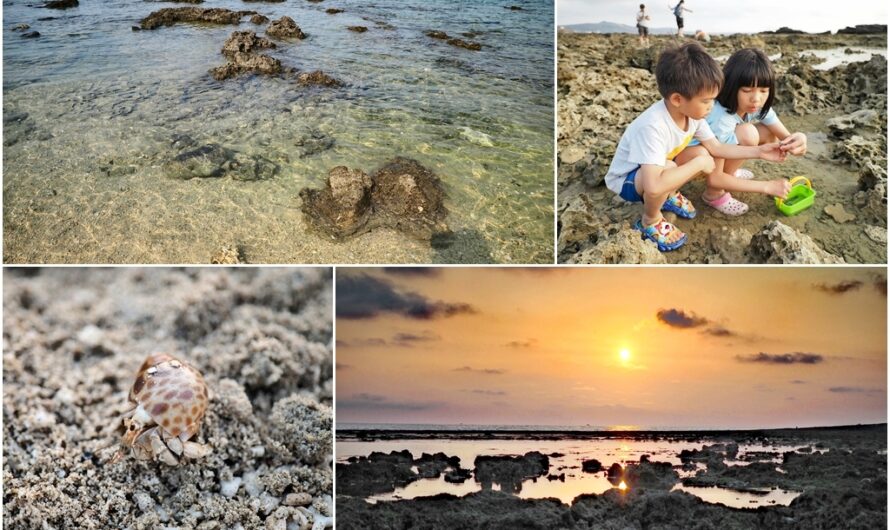 【墾丁住宿】墾丁悠活渡假村—海灘記趣