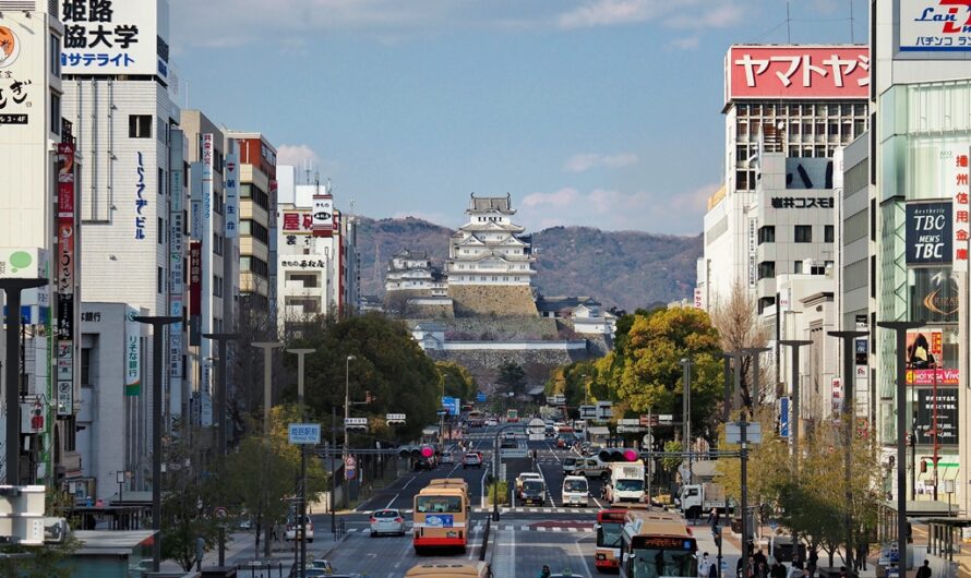 春遊姬路城賞櫻