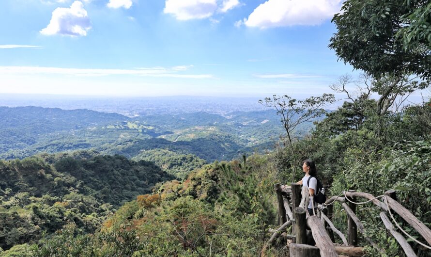 台中大坑｜台中魔王級相思圓木步道—大坑四號步道（接 3 、3-1 號 O 型走）、頭嵙山小百岳、步道地圖