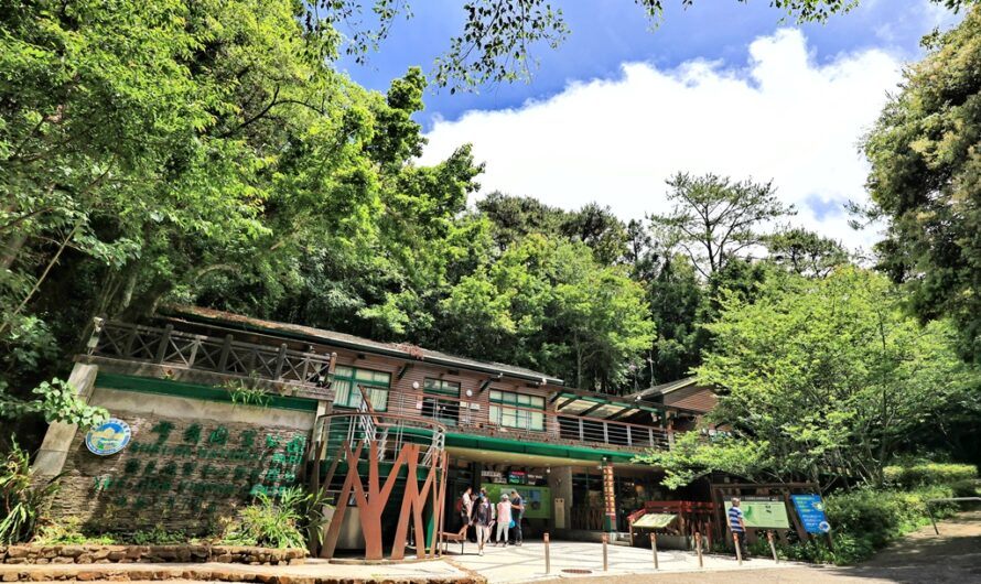 雪見遊憩區夏天消暑一日遊—遊客中心、聖稜線、林間步道串走