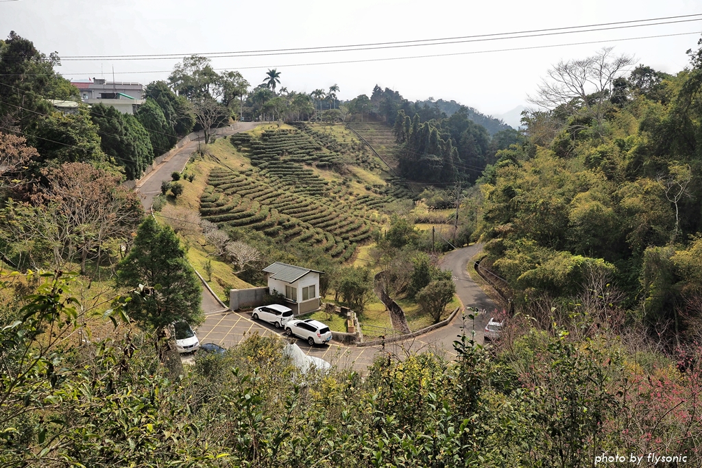 這張圖片的 alt 屬性值為空，它的檔案名稱為 %E7%B8%AE%E5%9C%96P1310541.1-2.jpg