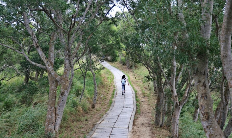 台中大肚｜萬里長城步道、旗開得勝步道 O 型走—新興登山口、步道地圖