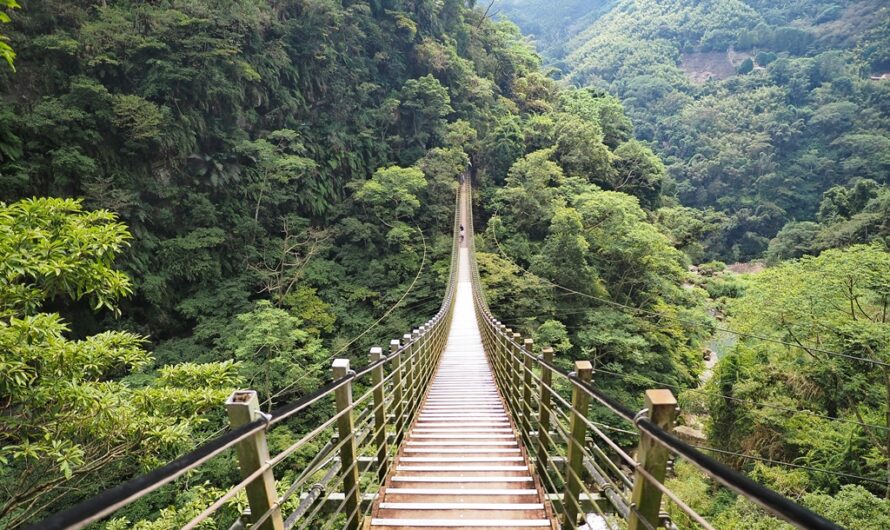 南投竹山｜竹山天梯（地心谷）—重新開幕竹山天梯景點全紀錄