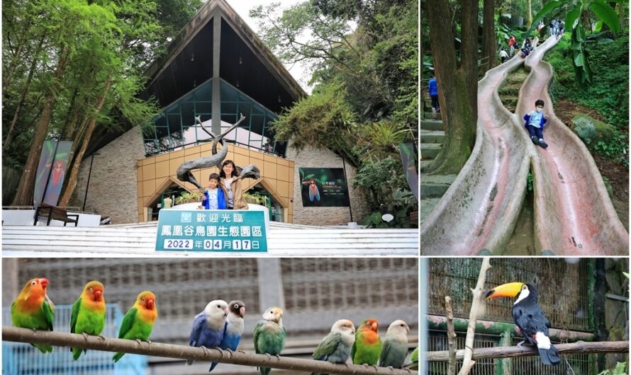 南投鳳凰谷鳥園生態園區—重新開放「松鶴館」、「親禽園」親手餵牡丹鸚鵡