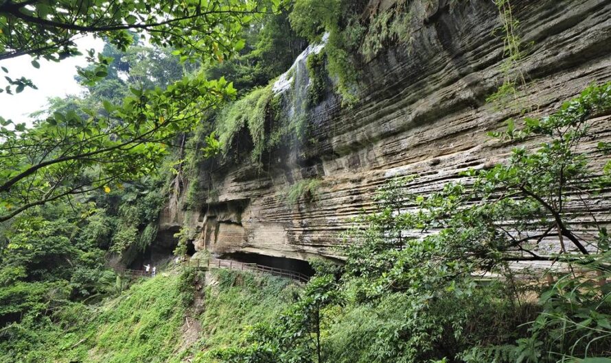 嘉義梅山｜瑞里青年嶺步道—燕子崖、千年蝙蝠洞的「鐵腿步道」