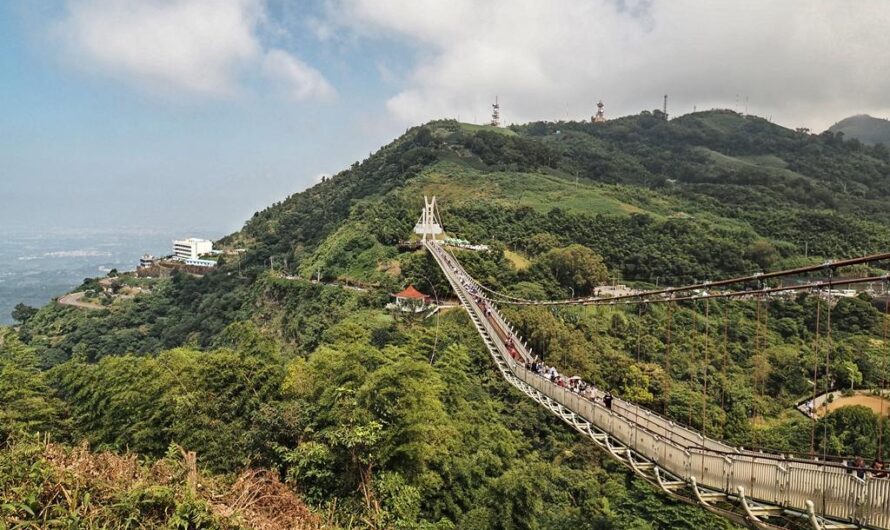 【嘉義梅山】太平雲梯—海拔最高景觀吊橋，順遊雲之南道步道、太平老街、空氣圖書館