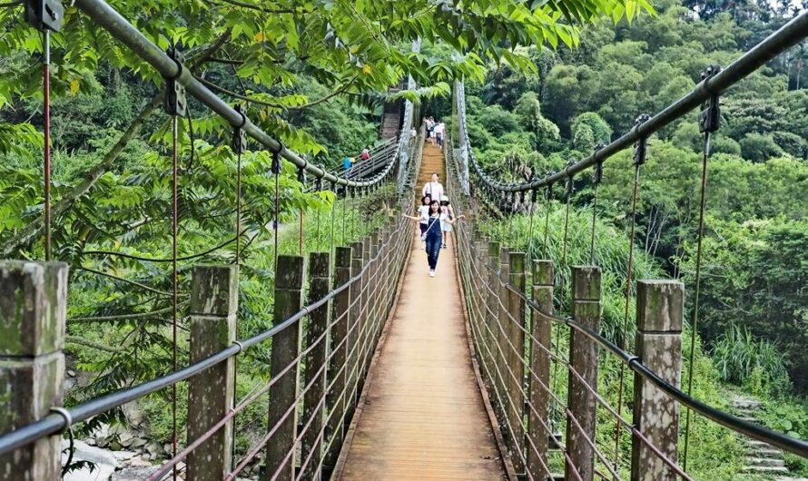【雲林古坑】華山小天梯、情人橋—土石流教學園區的叢林吊橋探險