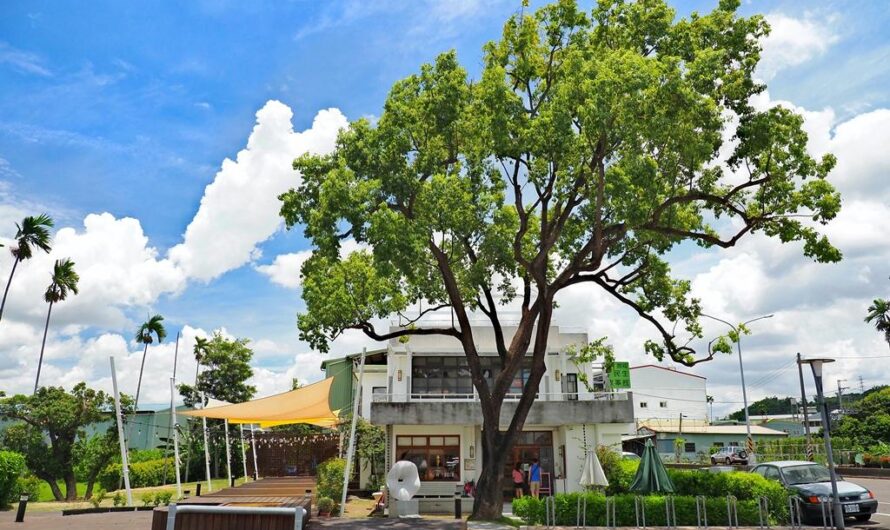 【台中霧峰】民生故事館—老屋重生、阿飛仙、神靖丸號的故事