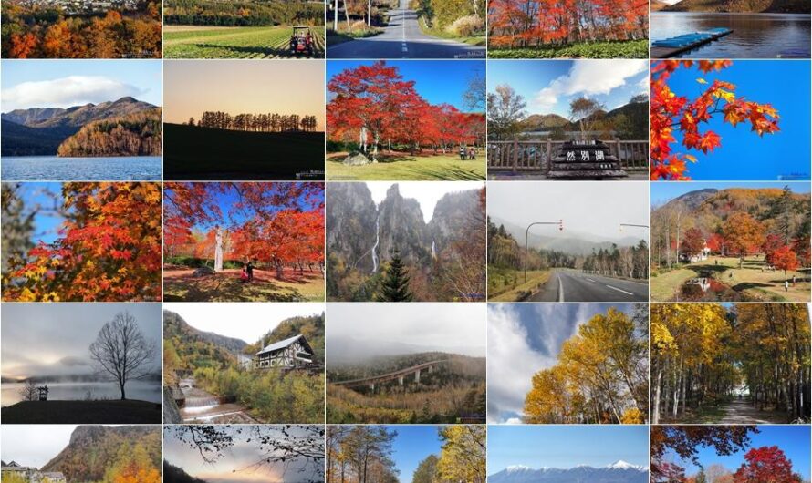 2014 北海道賞楓自駕 5 日行程