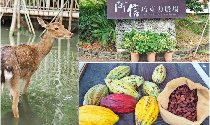 【墾丁景點】阿信巧克力農場—結合梅花鹿與可可的趣味農場