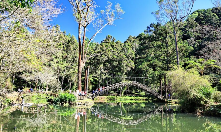 溪頭自然教育園區｜大學池步道