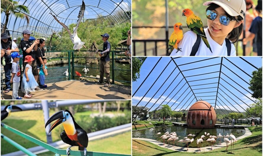 再訪九九峰動物樂園–餵食互動的美好體驗
