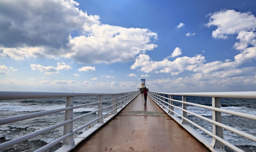 風吹浪舞，部瀨名海中公園—海中展望塔的世界