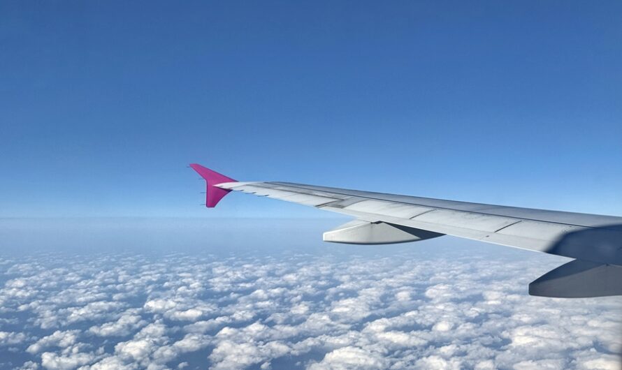沖繩自由行出發！樂桃航空初驗—從起飛到降落
