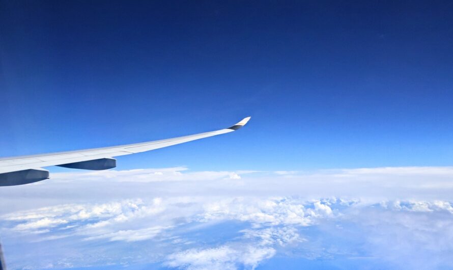 暌違十年的北海道之旅出發！星宇航空Snoopy班機，直奔新千歲機場北菓樓、札幌車站十勝豚丼いっぴん